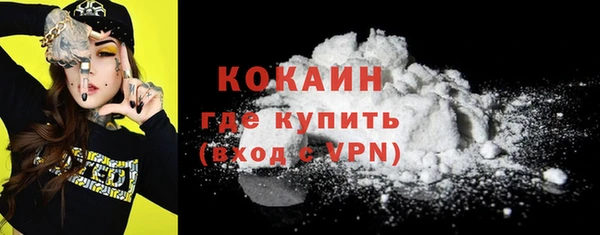 прущие грибы Касимов