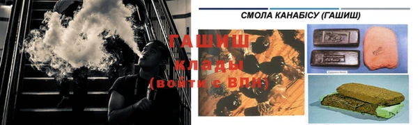 прущие грибы Касимов