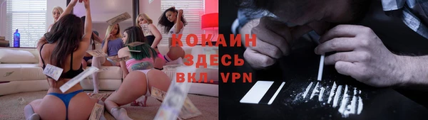 дурь Карпинск