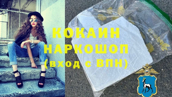 прущие грибы Касимов
