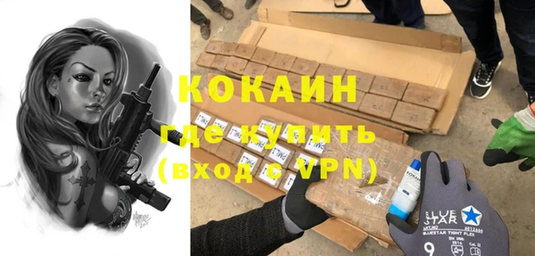 прущие грибы Касимов