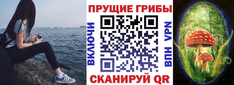 Псилоцибиновые грибы ЛСД  Купить закладки  Зуевка 